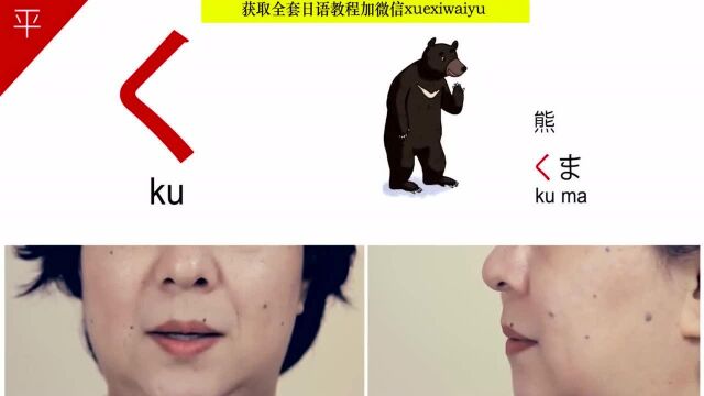 日语入门巧记五十音:ku的读法口型对照学习