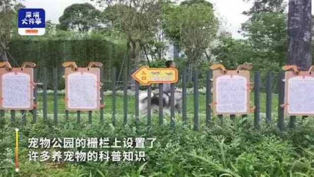 深圳首个宠物公园亮相福田,免费开放,内部设有宠物训练器械