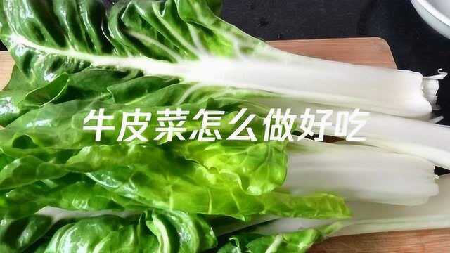 牛皮菜怎么做好吃,牛皮菜的做法