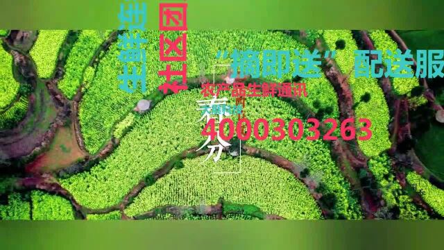 农产品生鲜通讯400电话订购热线社区团购篇