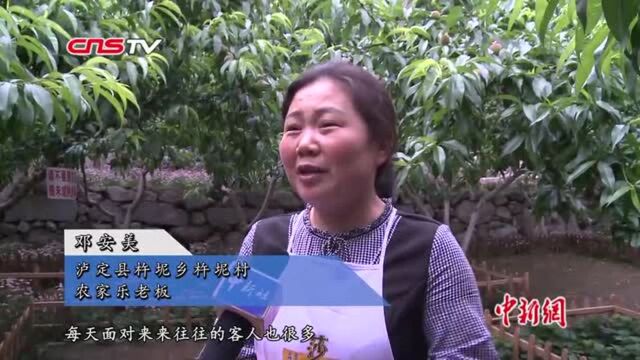 甘孜州的乡村振兴实践:大渡河流域越来越“热闹”