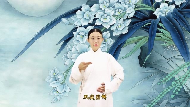 国学经典《孝经》手语表演——李心启