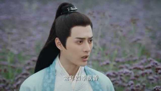 青羽与小师妹比武,青岚却助小师妹获胜,烨火在旁却吃了醋