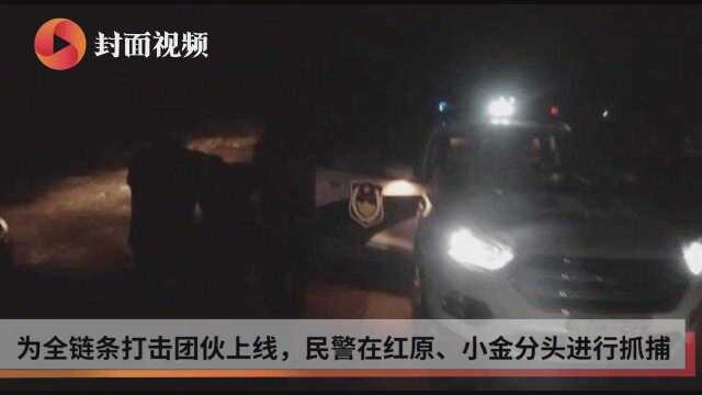 抓捕现场:一辆货车牵出盗抢车犯罪团伙 4名嫌疑人被抓