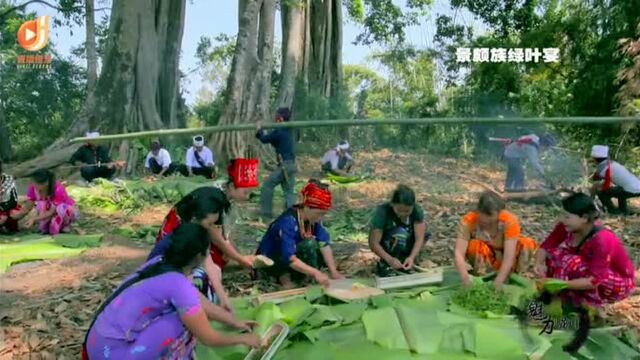 德宏陇川欢迎你,这四分钟宣传片惊艳了全世界