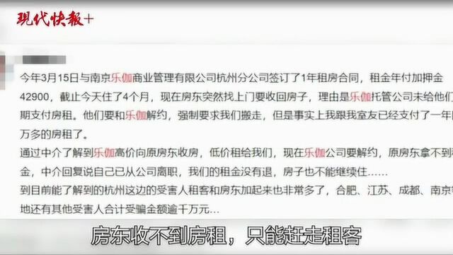 南京乐伽公寓“停摆”,相关部门已成立调查组