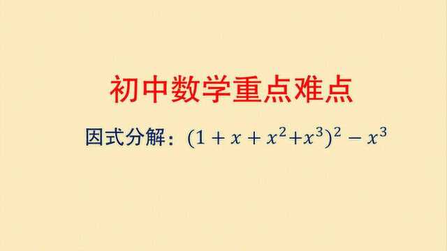 初中数学重点难点 这个因式分解有一定难度 你也来试试