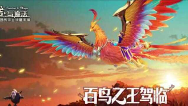 创造与魔法欲焰凤凰测评