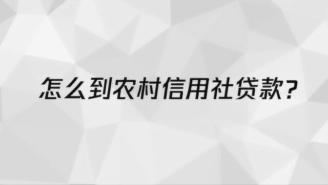 怎么到农村信用社贷款