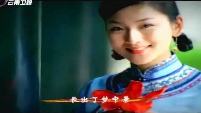 红歌金曲!王丽达演唱《共圆中国梦》,每个人的中国梦,一起祈祷