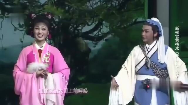 黄梅戏《天仙配》选段,槐荫树开口,袁媛、梅院军演唱