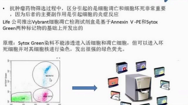 网络讲堂:MD酶标系统助您全面了解细胞信号转导通路的机制