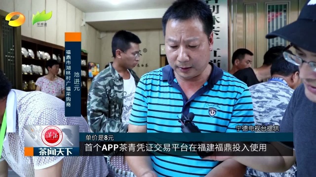 首个APP茶青凭证交易平台在福建福鼎投入使用