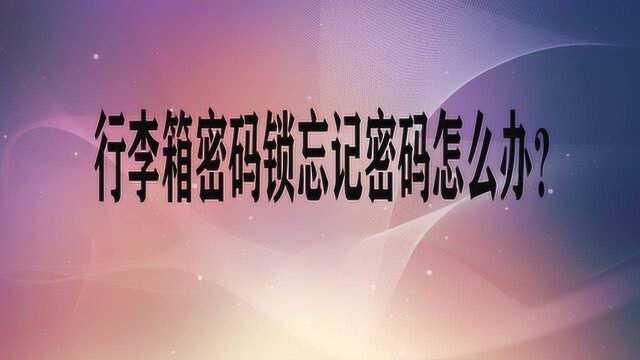 行李箱密码锁忘记密码怎么办?