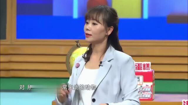 猫头鹰在不同国家都寓意着啥?