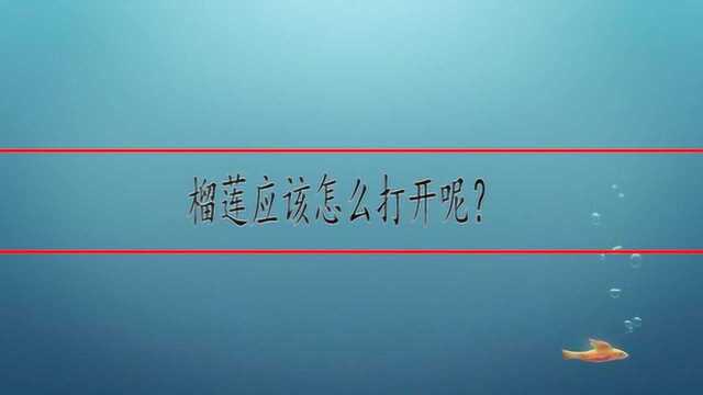 榴莲应该怎么打开呢?