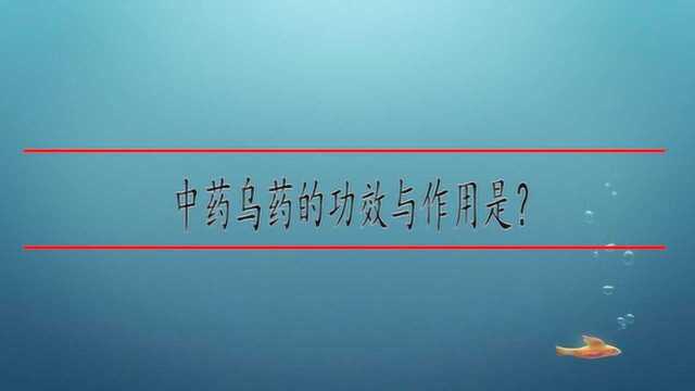 中药乌药的功效与作用是?