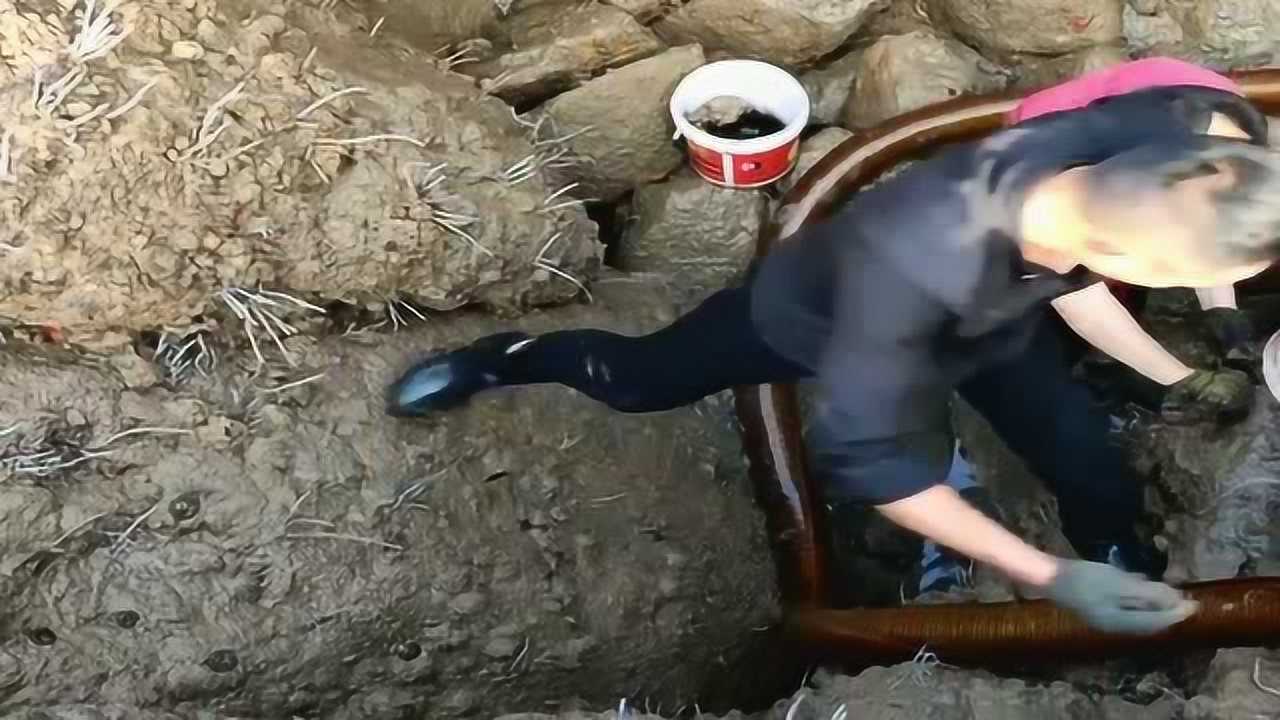 渔戈兄弟赶海被坑最惨的一次这次真的是太惨了