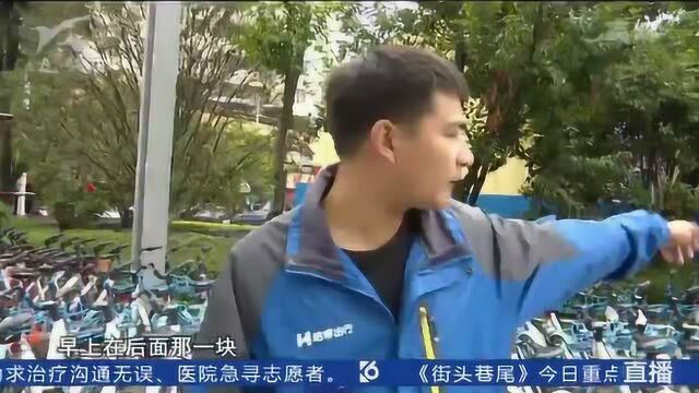 共享单车被贴“牛皮廯” 工作人员当场逮人报警