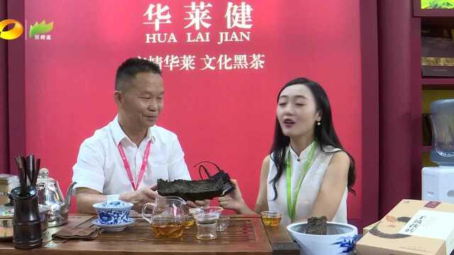 华莱健黑茶亮相湖南茶博会