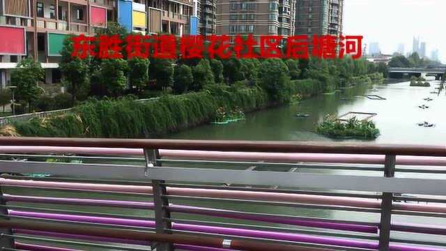 后塘河风景(东胜街道樱花社区宣)