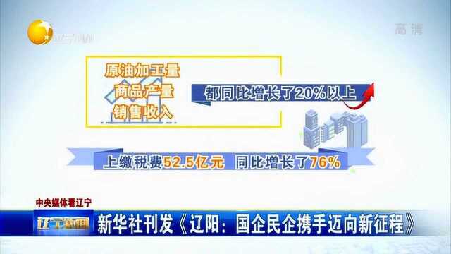 新华社刊发《辽阳:国企民企携手迈向新征程》