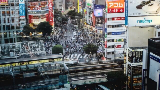 日本允许旭日旗在奥运赛场飘扬,韩国政府却抗议,到底啥是旭日旗