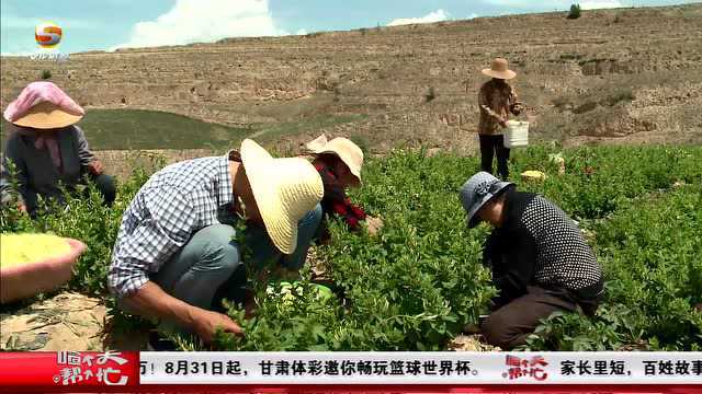 定西市70年发展成就专场新闻发布会在兰州召开