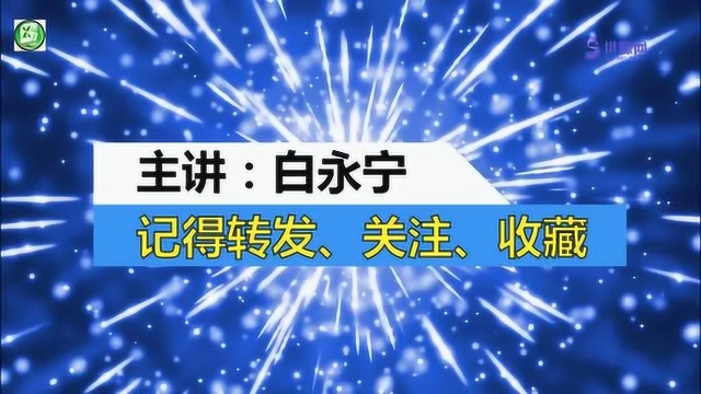 PS教程:利用PS制作章子,简单实用,小白必会