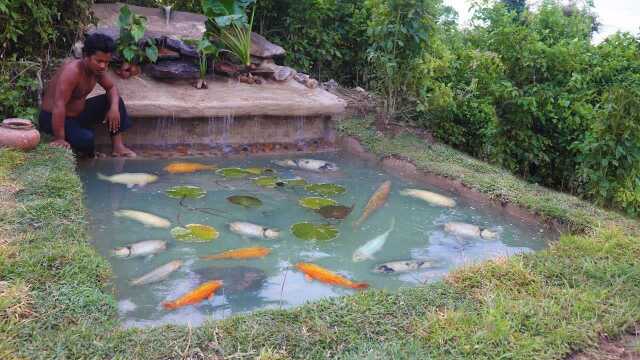 原始人生活探秘: 建造漂亮的荷花池塘