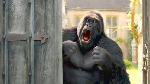 科幻片：这是我见过最怂的大猩猩，多年没见人类，被人类吓晕！