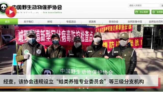 违规设立蛙类养殖分支机构 中国野生动物保护协会被罚