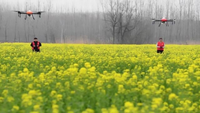 安徽:无人机植保队喷洒农药 智能化设备助力春耕