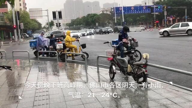 最低15℃!佛山降雨+弱冷空气来袭,伴有轻微“回南天”