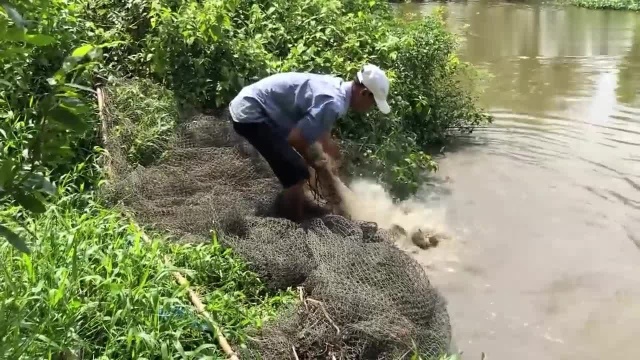 技术好不如位置选得好,男子朝野塘乱撒一网,结果竟有意外的惊喜