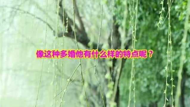 八字入门基础 第十四章 女命婚姻