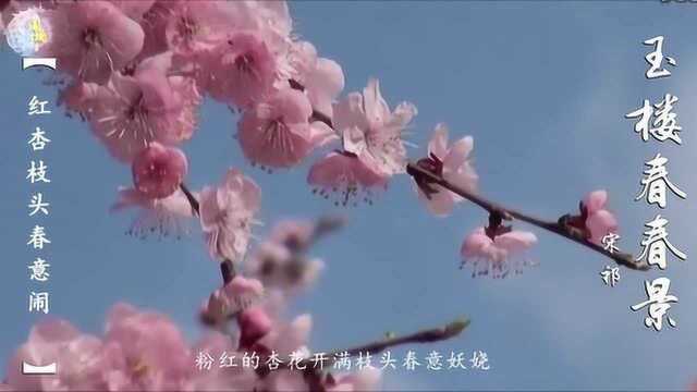 宋祁 玉楼春 春景 为君持酒劝斜阳 且向花间留晚照