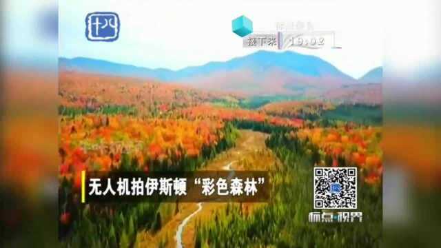 仙境!无人机拍伊斯顿“彩色森林”,颜色太梦幻了……