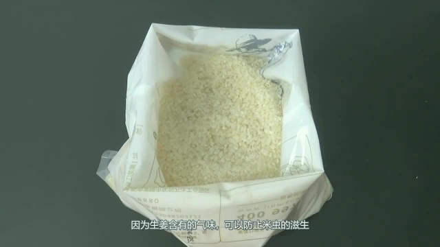 家里的大米老是生虫怎么办?教你一招,大米再也不会生米虫了!