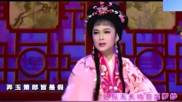 潮剧《对明月思婵娟》林燕云、张怡凰演唱