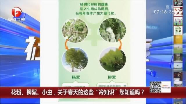 关于春天的柳絮“冷知识”你知道吗? 杨树、柳树还分雌雄