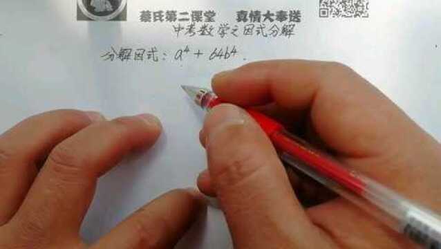 中考数学之因式分解