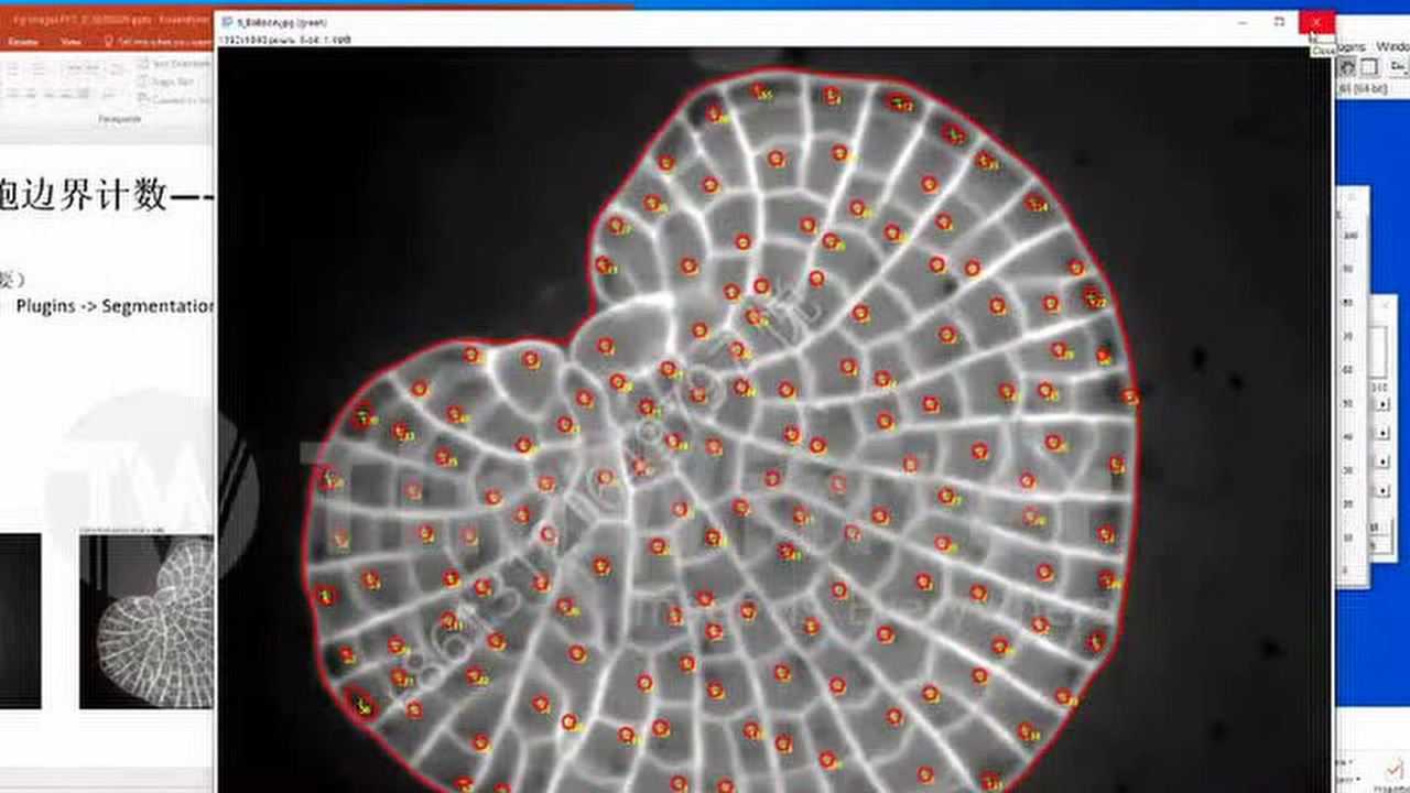 Fiji/ImageJ图像软件介绍_腾讯视频