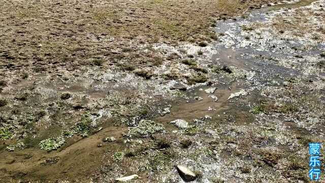 探游祖国北疆内蒙古狼山深处.