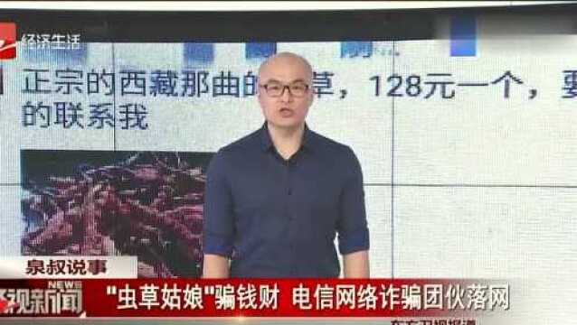 “虫草姑娘”骗钱财,电信网络诈骗团伙落网