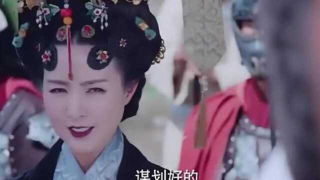 睿王妃主动解救侍女,反遭太后趁机借此下杀手