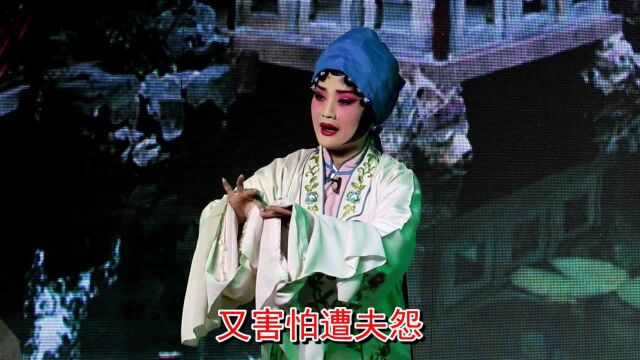 上党梆子《杨继宗》选段一