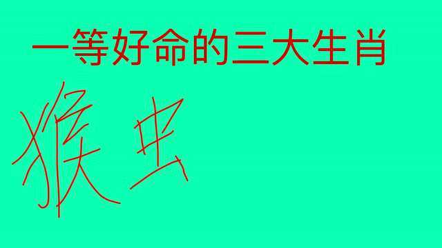 一等好命的几大生肖,命中带金,天生就是富贵的命,有你吗