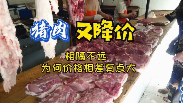 四川这里的猪肉才20多点一斤,绵阳和射洪的价格差距怎么这么大?