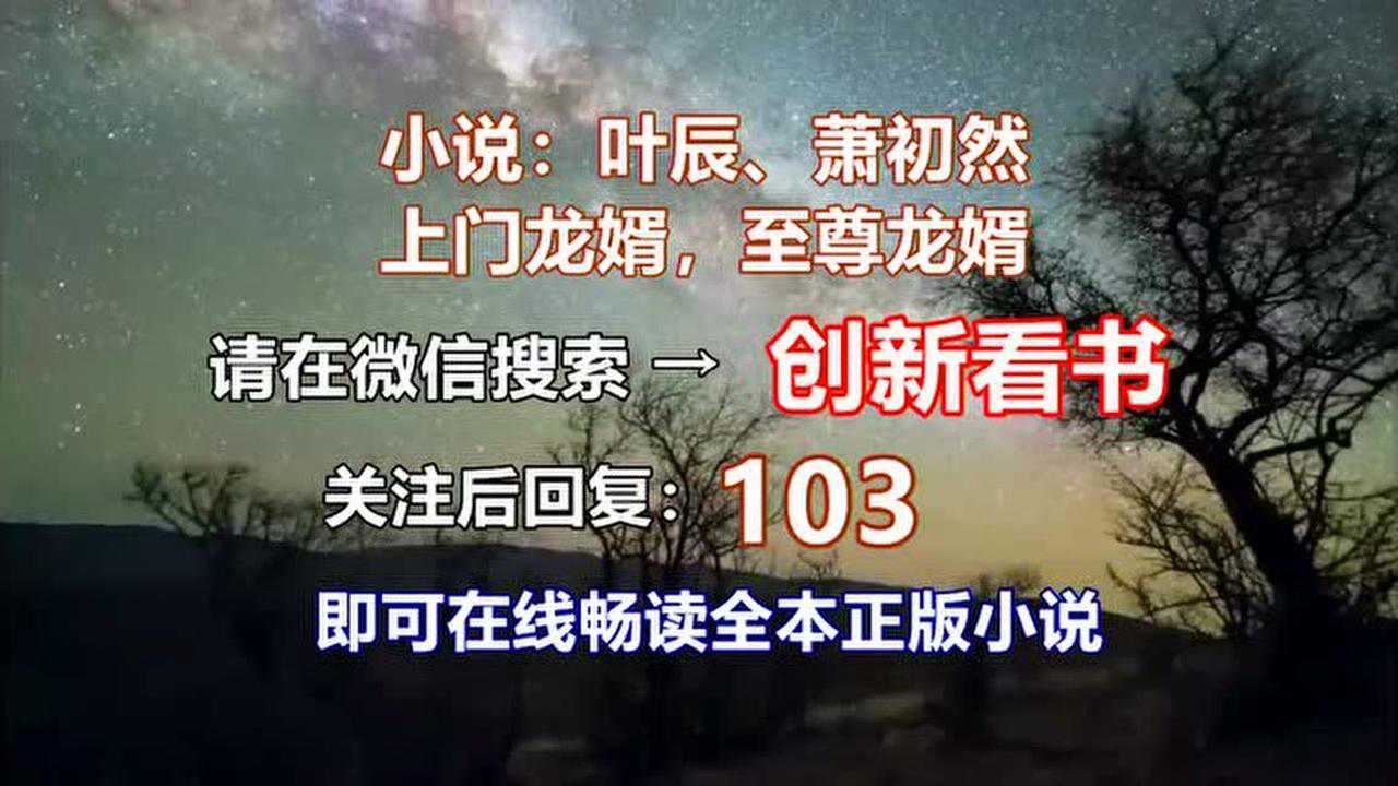 上门龙婿璀璨人生叶辰萧初然正版阅读